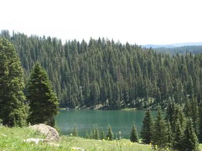 ISLAND LAKE CAMPGROUND photo 4