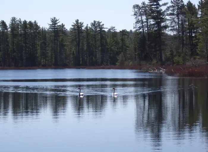 ISLAND LAKE photo 2
