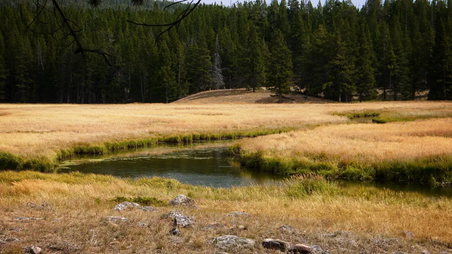 ISLAND PARK CAMPGROUND photo