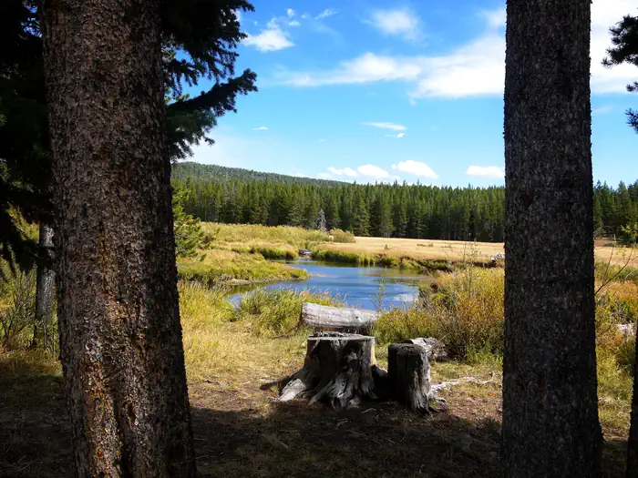 ISLAND PARK CAMPGROUND photo 2