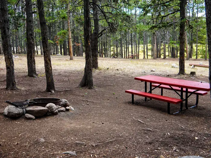 ISLAND PARK CAMPGROUND photo 4