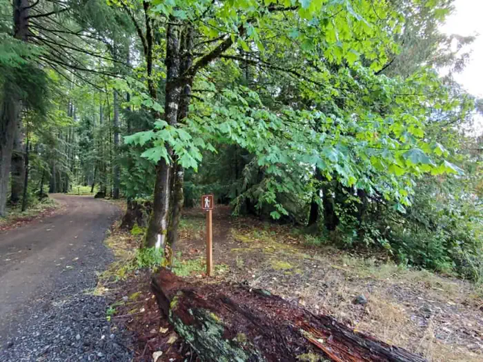 Ivan Oakes Campground photo 2