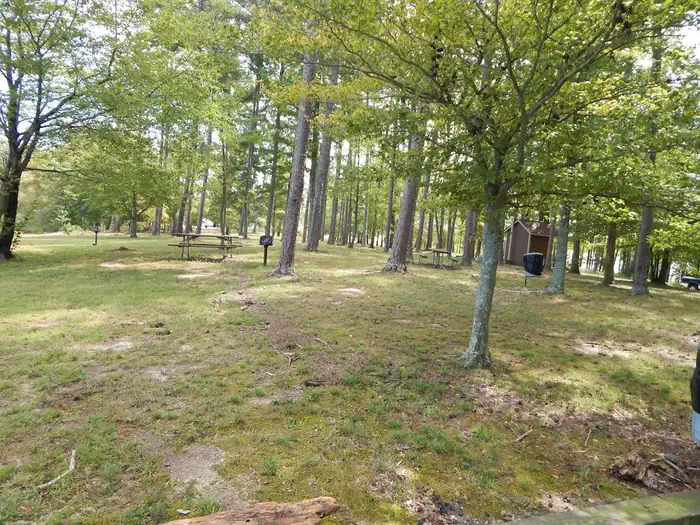 Ivy Hill Park photo 3