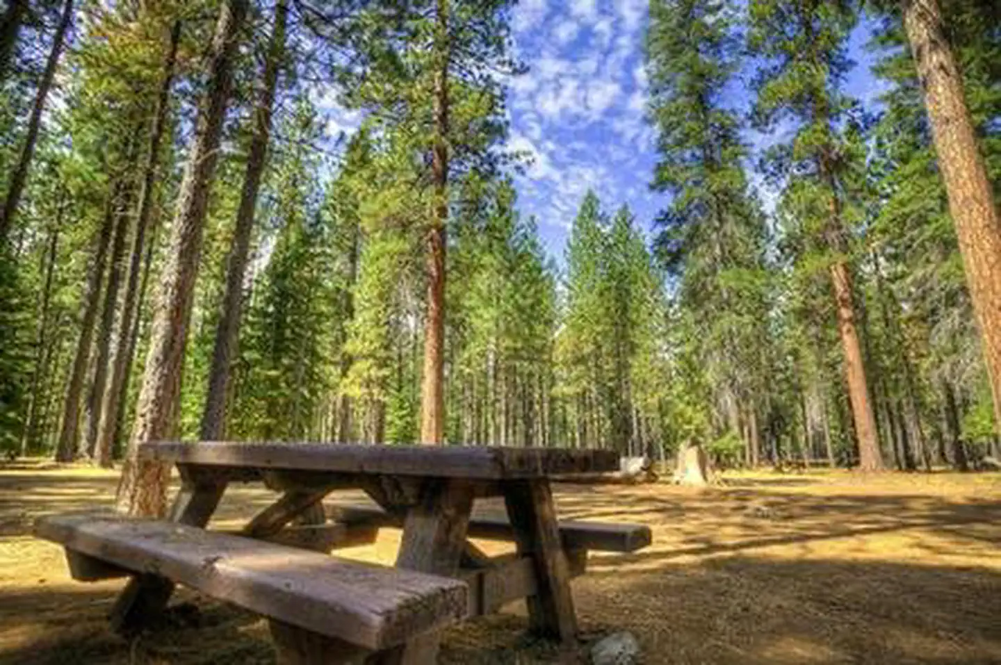 JACK CREEK CAMPGROUND photo