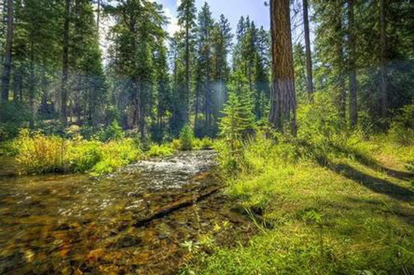 JACK CREEK CAMPGROUND photo 5