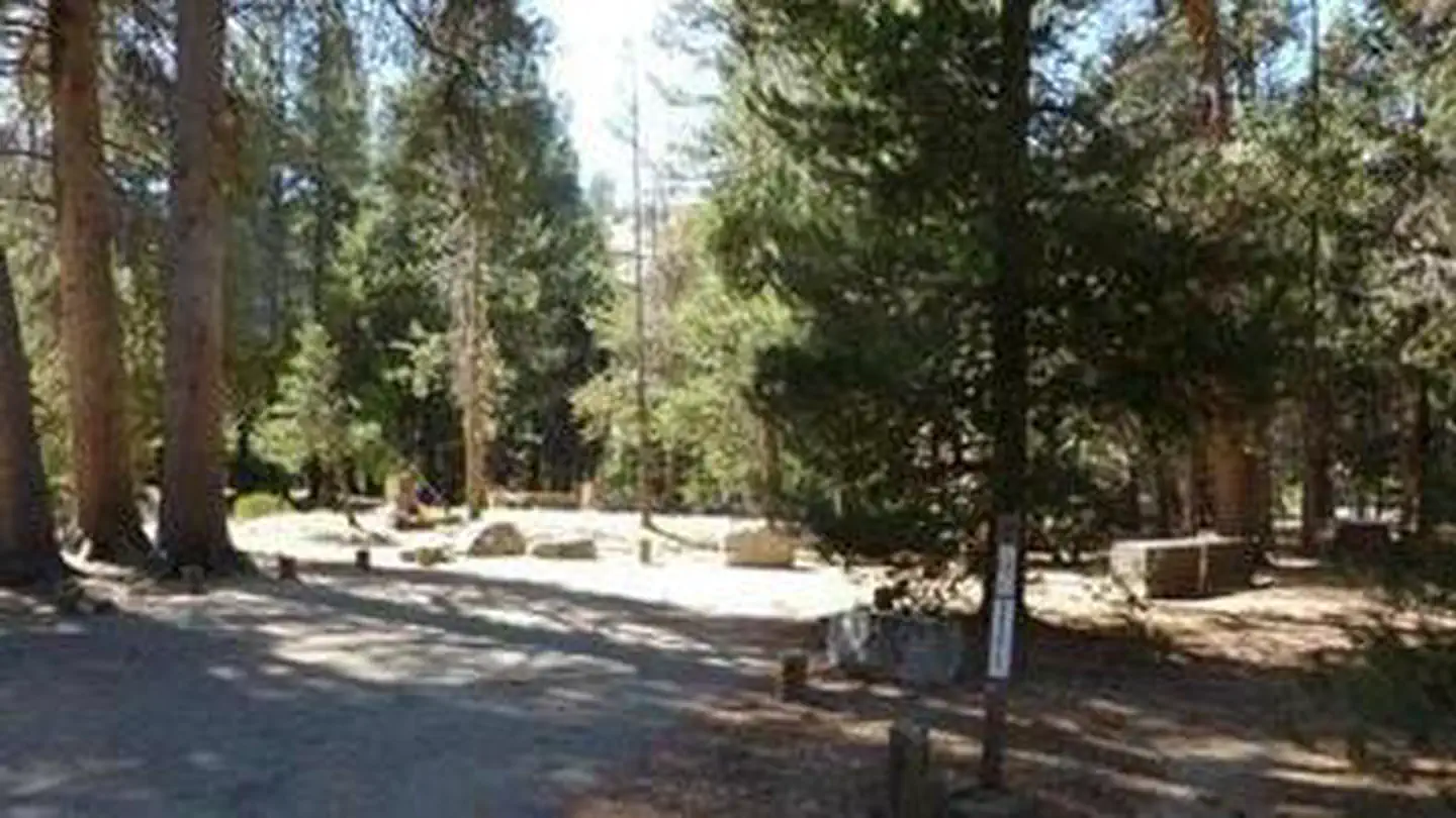 JACKASS MEADOW photo