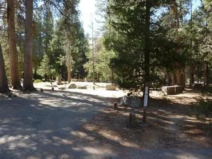 JACKASS MEADOW photo 2