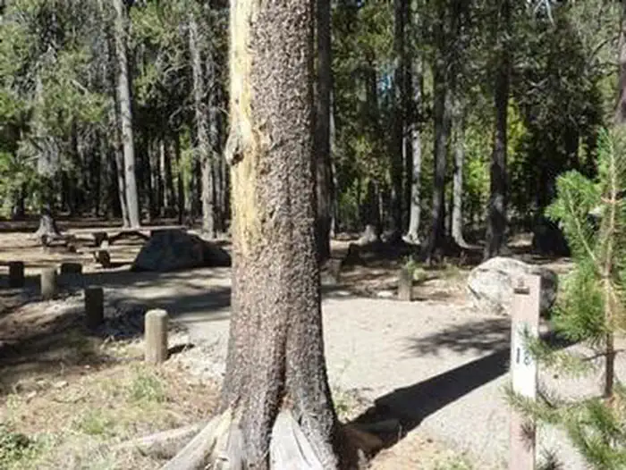JACKASS MEADOW photo 4