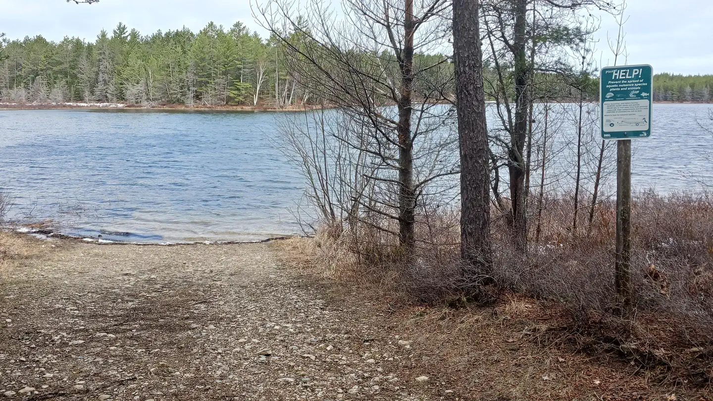 Jackpine Lake Campsites photo
