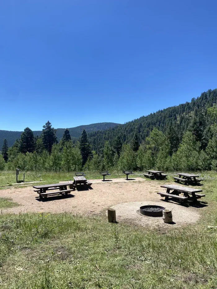 JACKS CREEK GROUP AREA photo 3