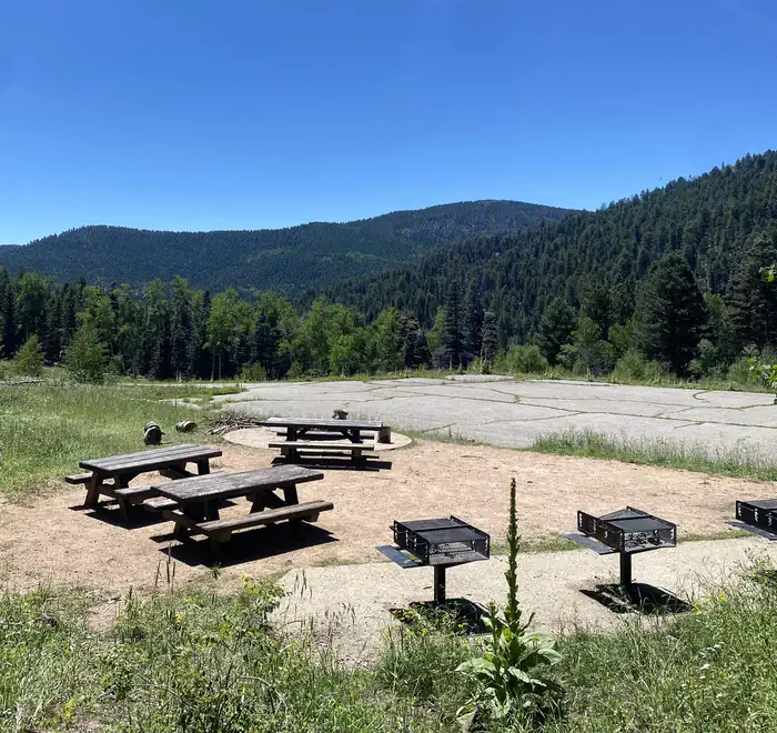 JACKS CREEK GROUP AREA photo 4