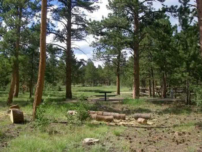 JACKS GULCH photo