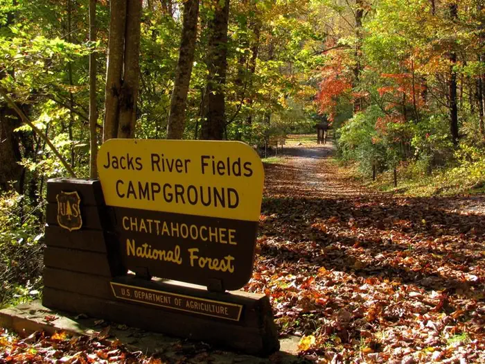 Jacks River Fields Campground photo 2