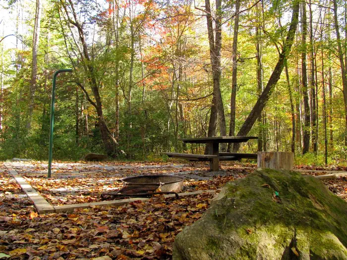 Jacks River Fields Campground photo 4