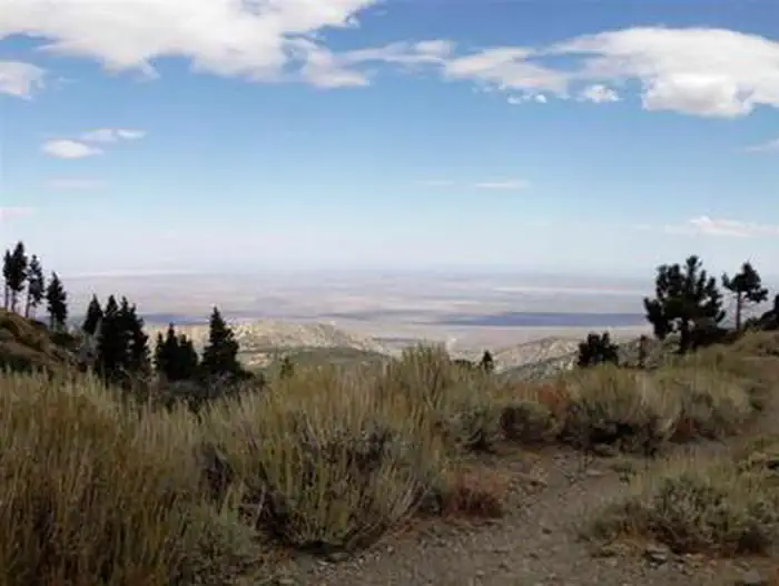 JACKSON FLATS photo 2