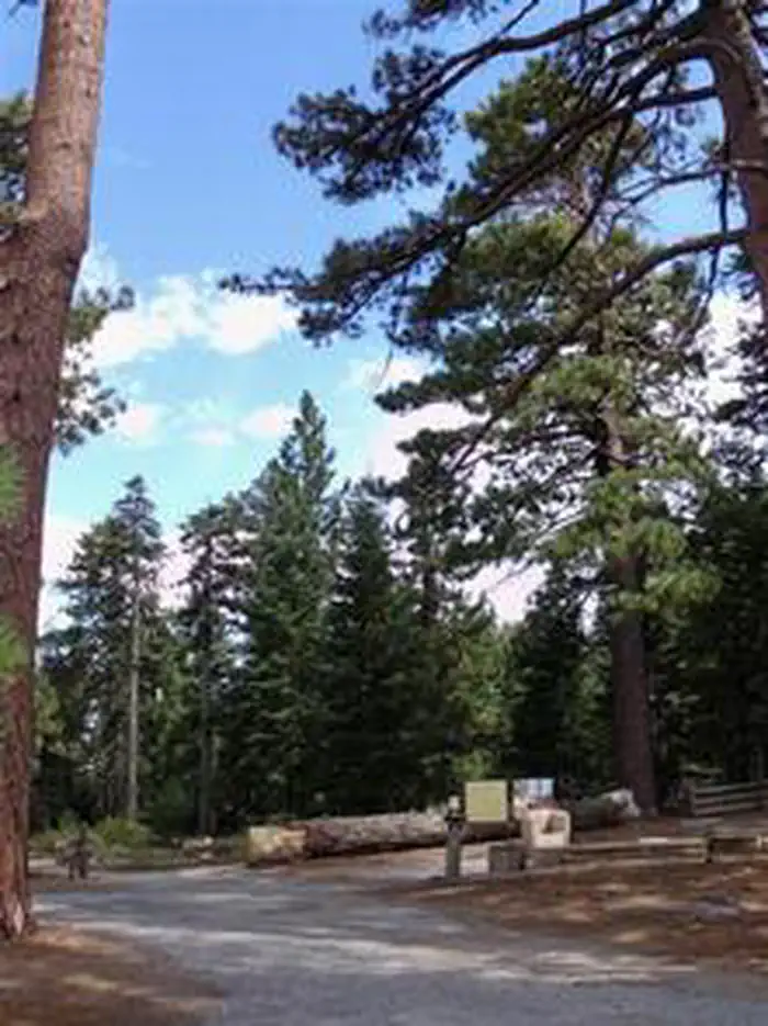 JACKSON FLATS photo 3