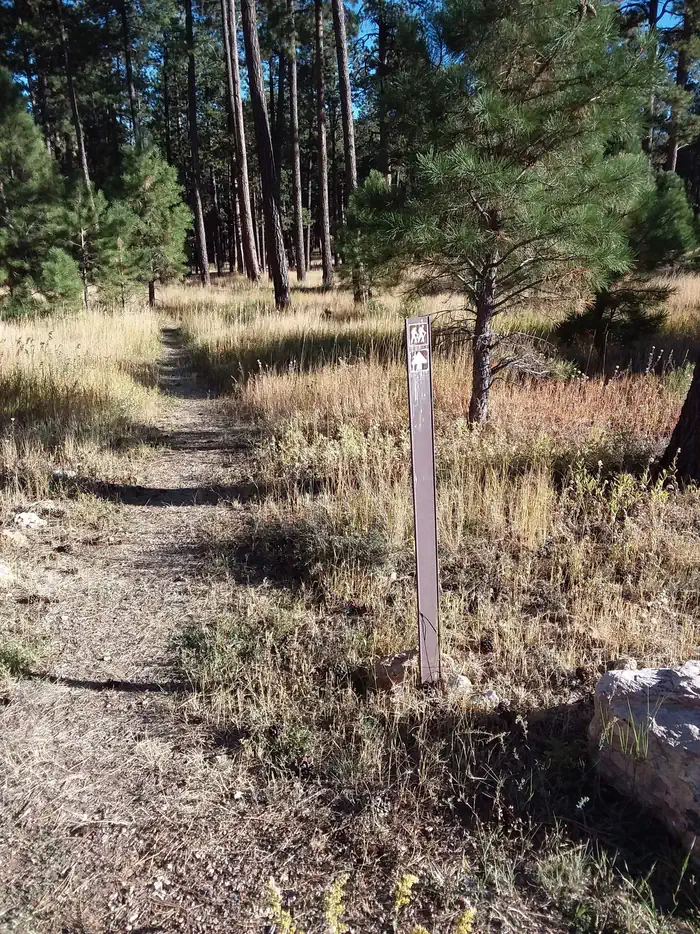 JACOB LAKE RECREATION AREA photo 2