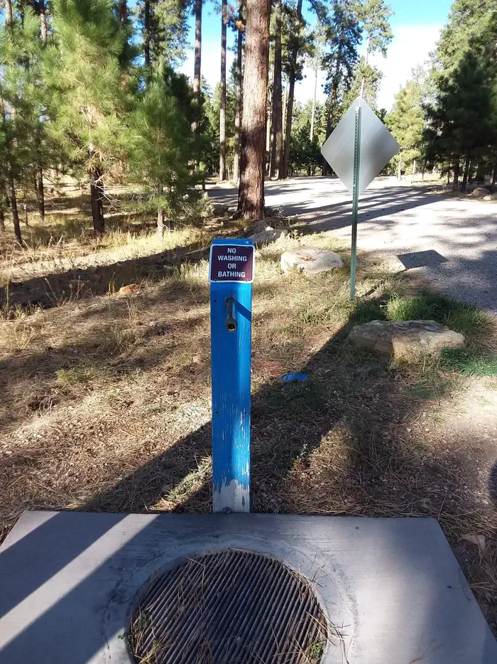 JACOB LAKE RECREATION AREA photo 4