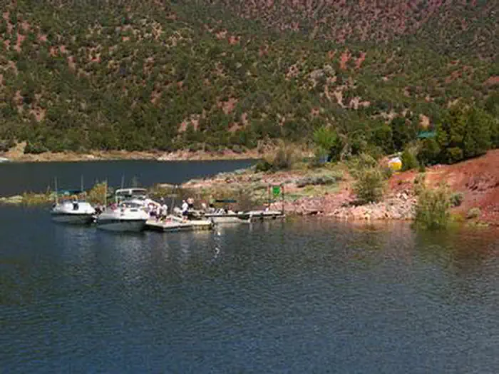 JARVIES BOAT IN GROUP photo