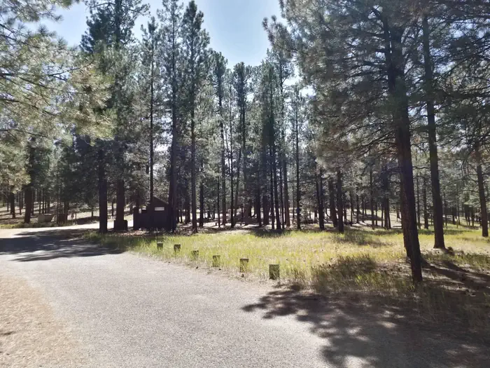 JEMEZ FALLS CAMPGROUND photo 3