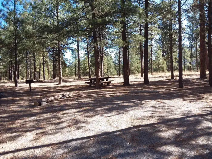 JEMEZ FALLS CAMPGROUND photo 4