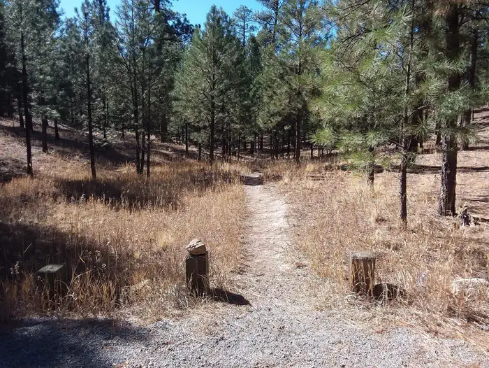JEMEZ FALLS (NM) PICNIC AREA photo 4