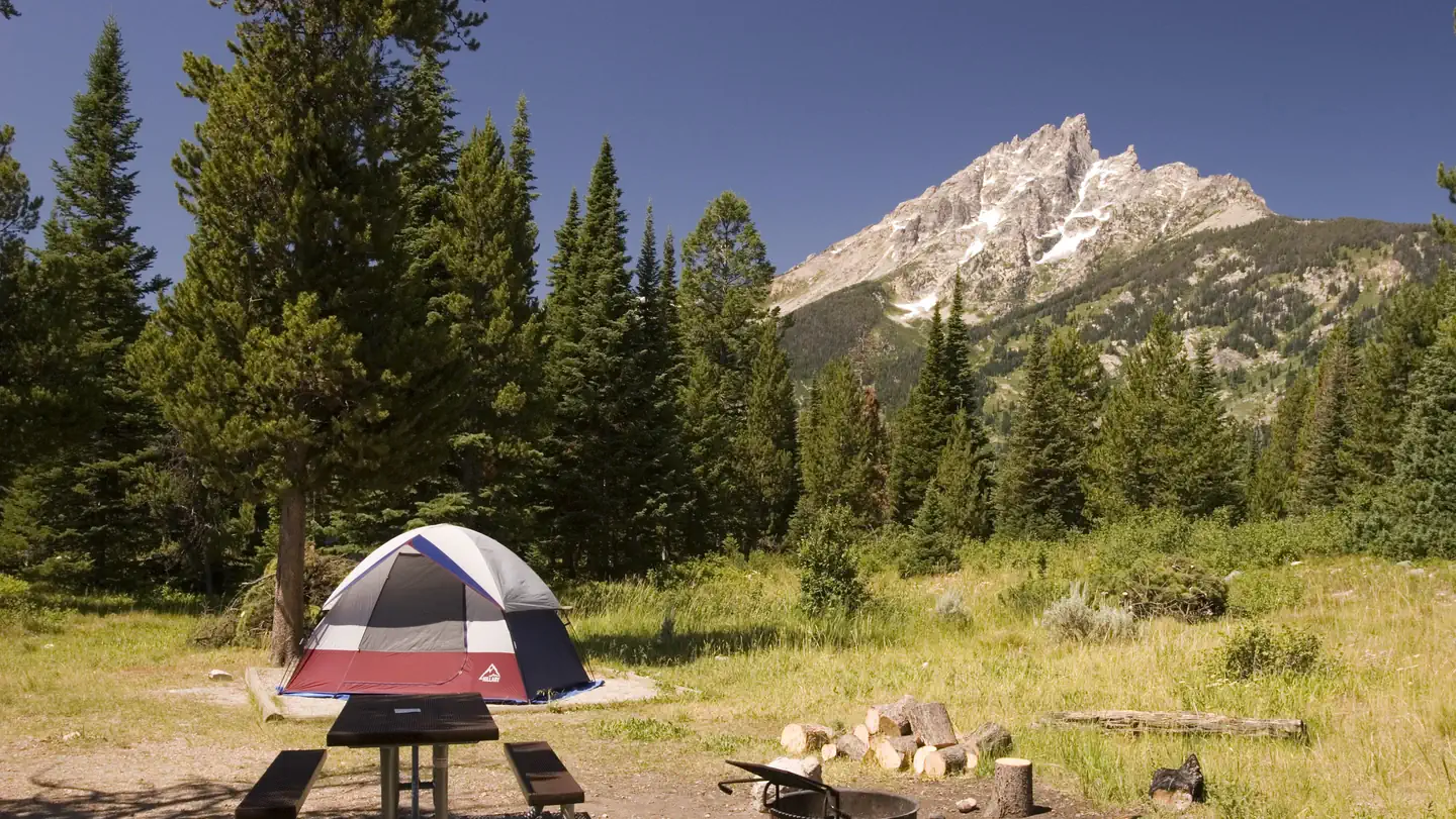 Jenny Lake Campground photo