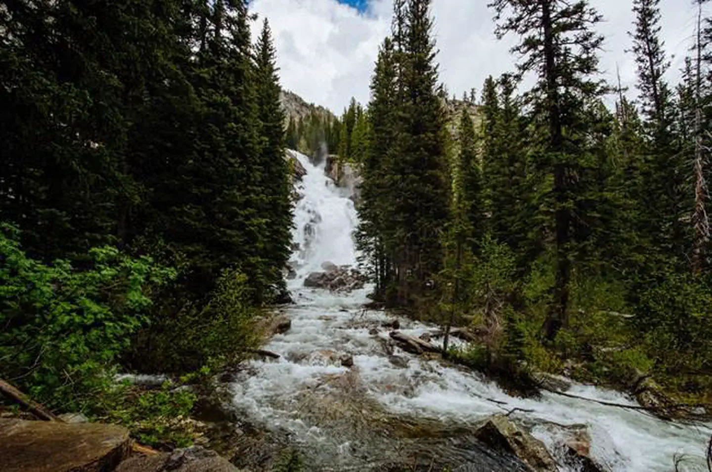 Jenny Lake Campground photo 3