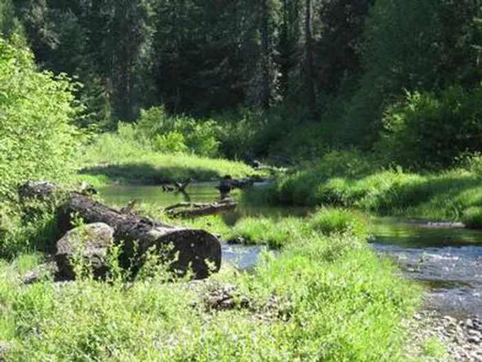JIM CREEK GROUP CAMPGROUND photo