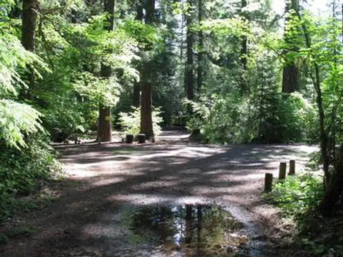 JIM CREEK GROUP CAMPGROUND photo 2