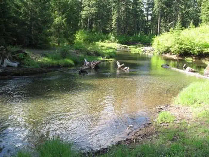 JIM CREEK GROUP CAMPGROUND photo 4