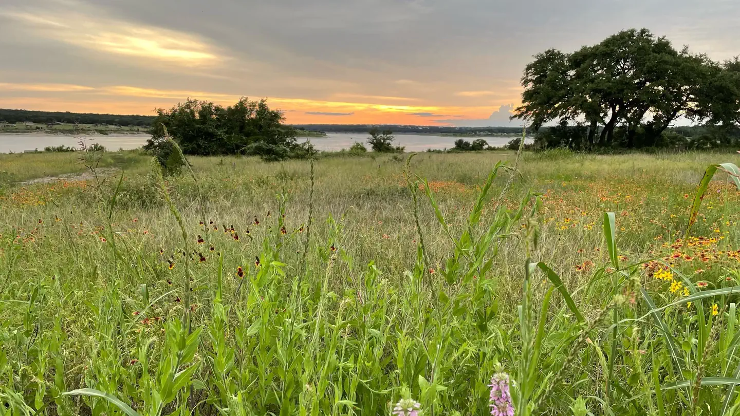 JIM HOGG PARK photo