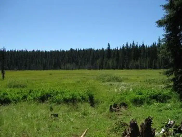 JOE GRAHAM HORSE CAMPGROUND photo 5