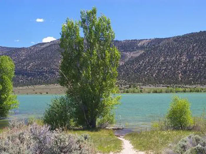 JOES VALLEY PAVILION GROUP SITE A photo 4