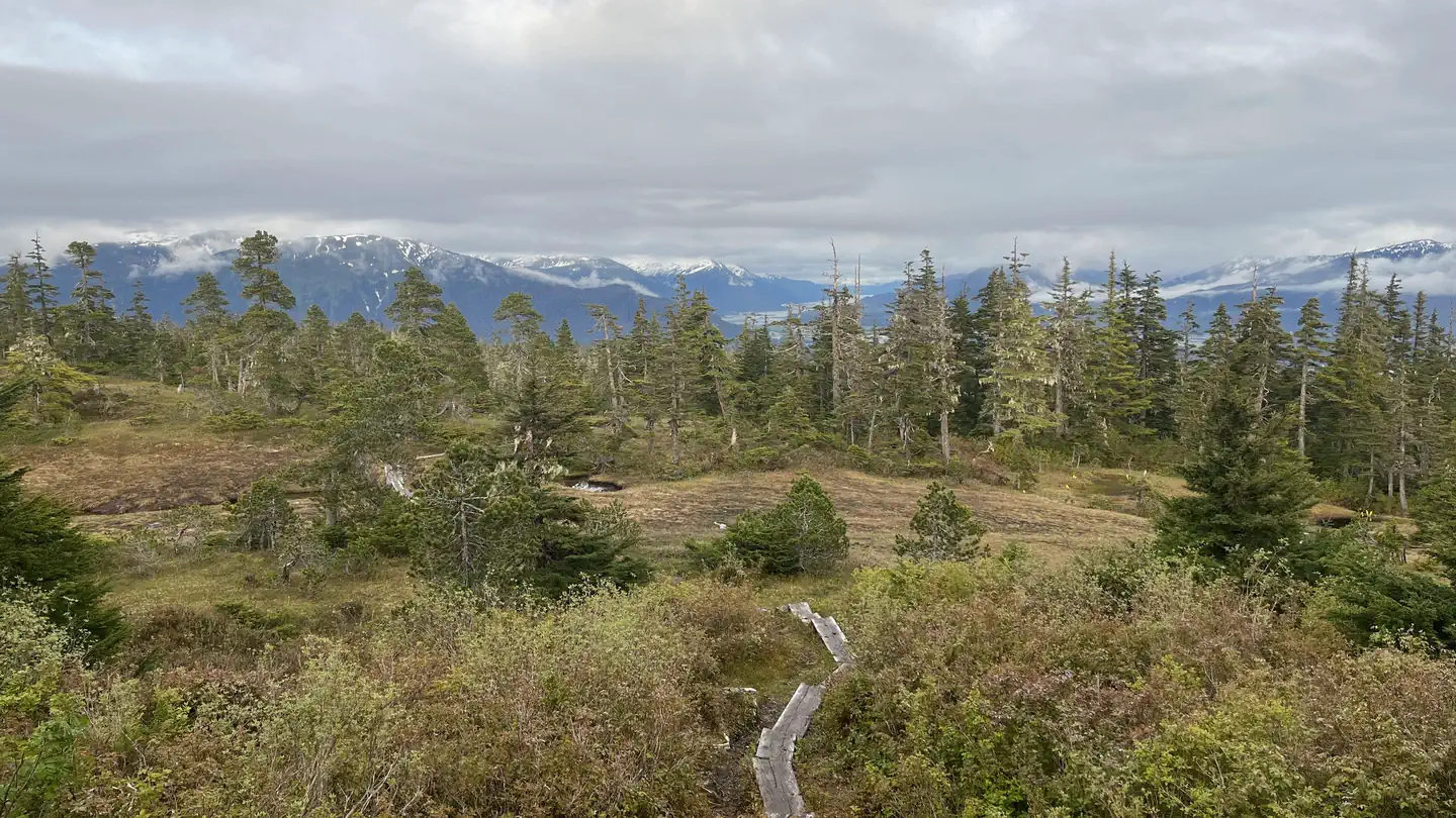 JOHN MUIR CABIN photo