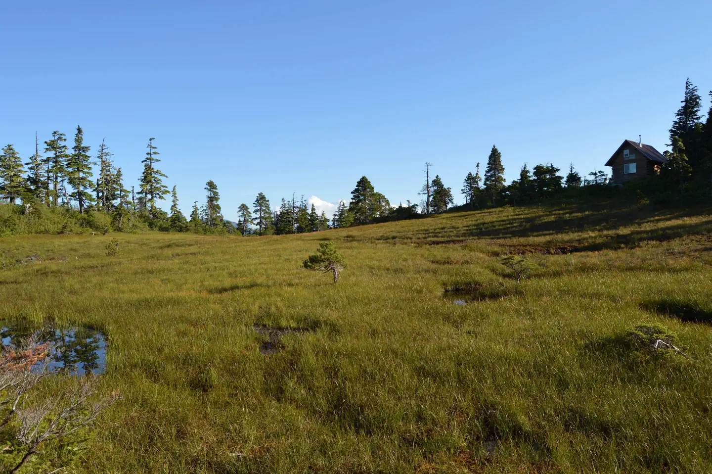JOHN MUIR CABIN photo 5