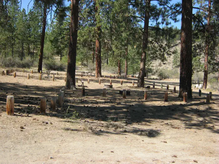 Jones Bay Campground photo 3