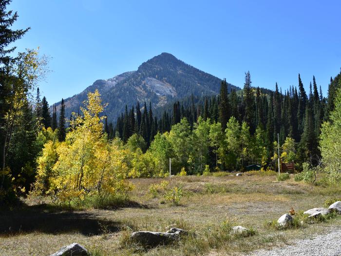 JORDAN PINES photo 2