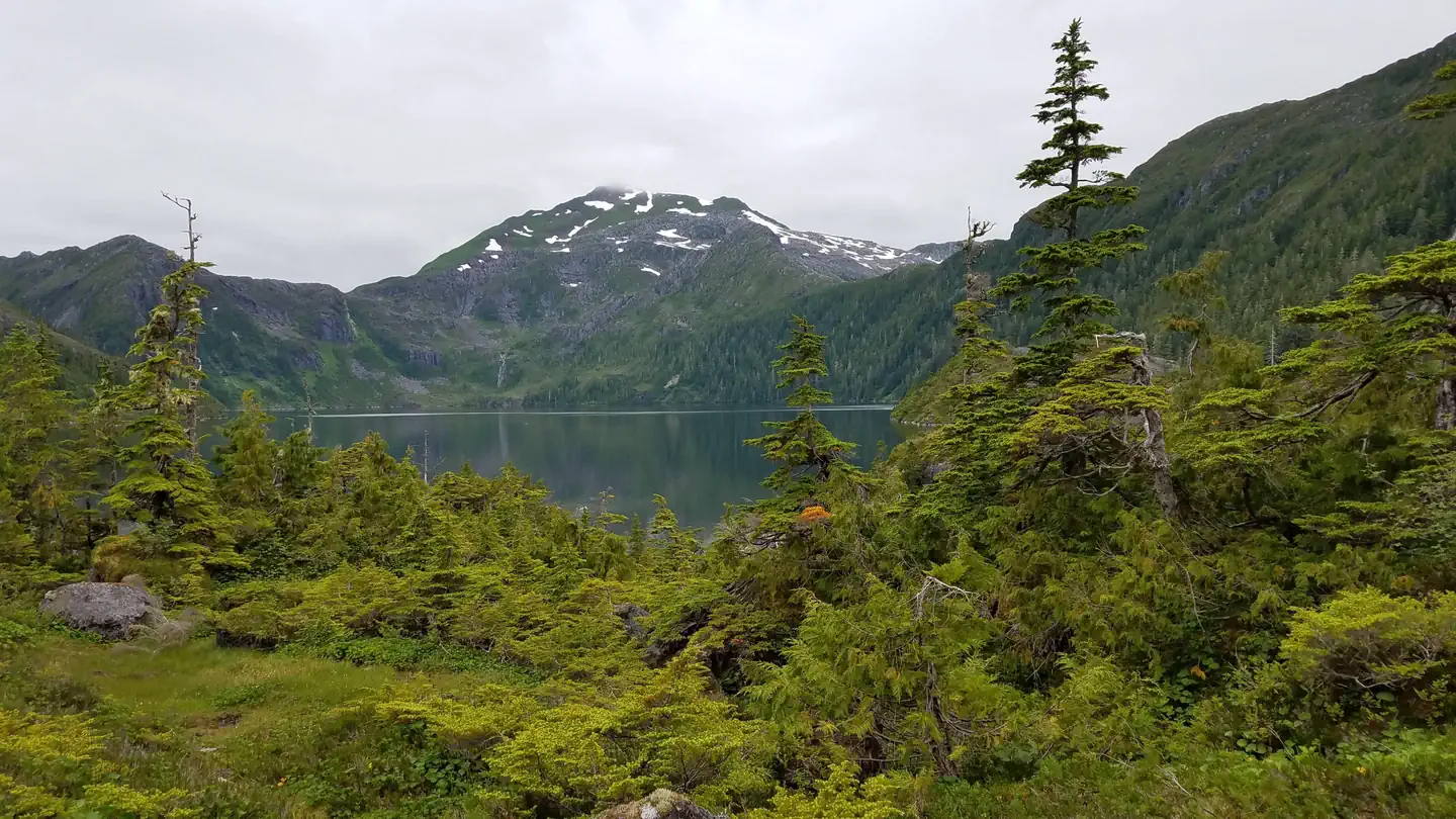JOSEPHINE LAKE CABIN photo 3