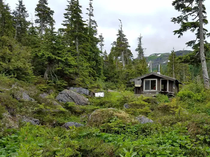 JOSEPHINE LAKE CABIN photo 4