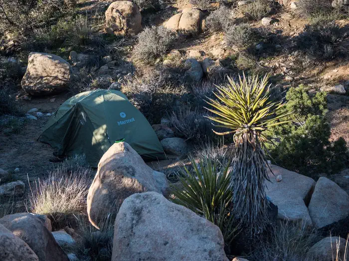 Joshua Tree National Park Wilderness Backpacking Permits photo 2