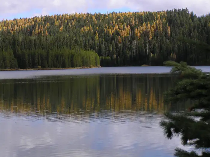 Jubilee Lake Campground (OR) photo 2