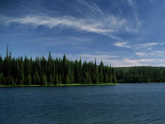 Jubilee Lake Campground (OR) photo 5