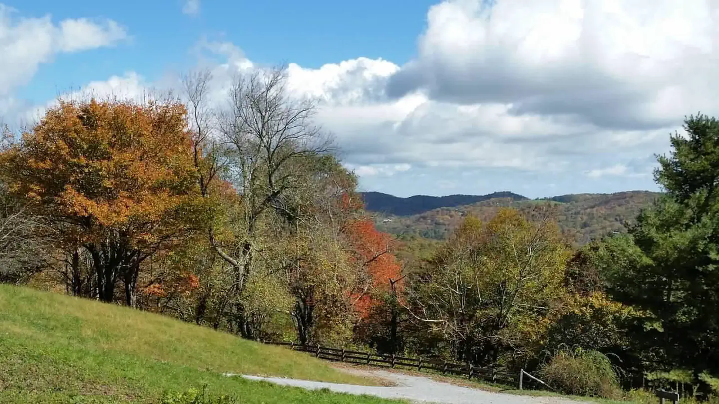 Julian Price Campground photo