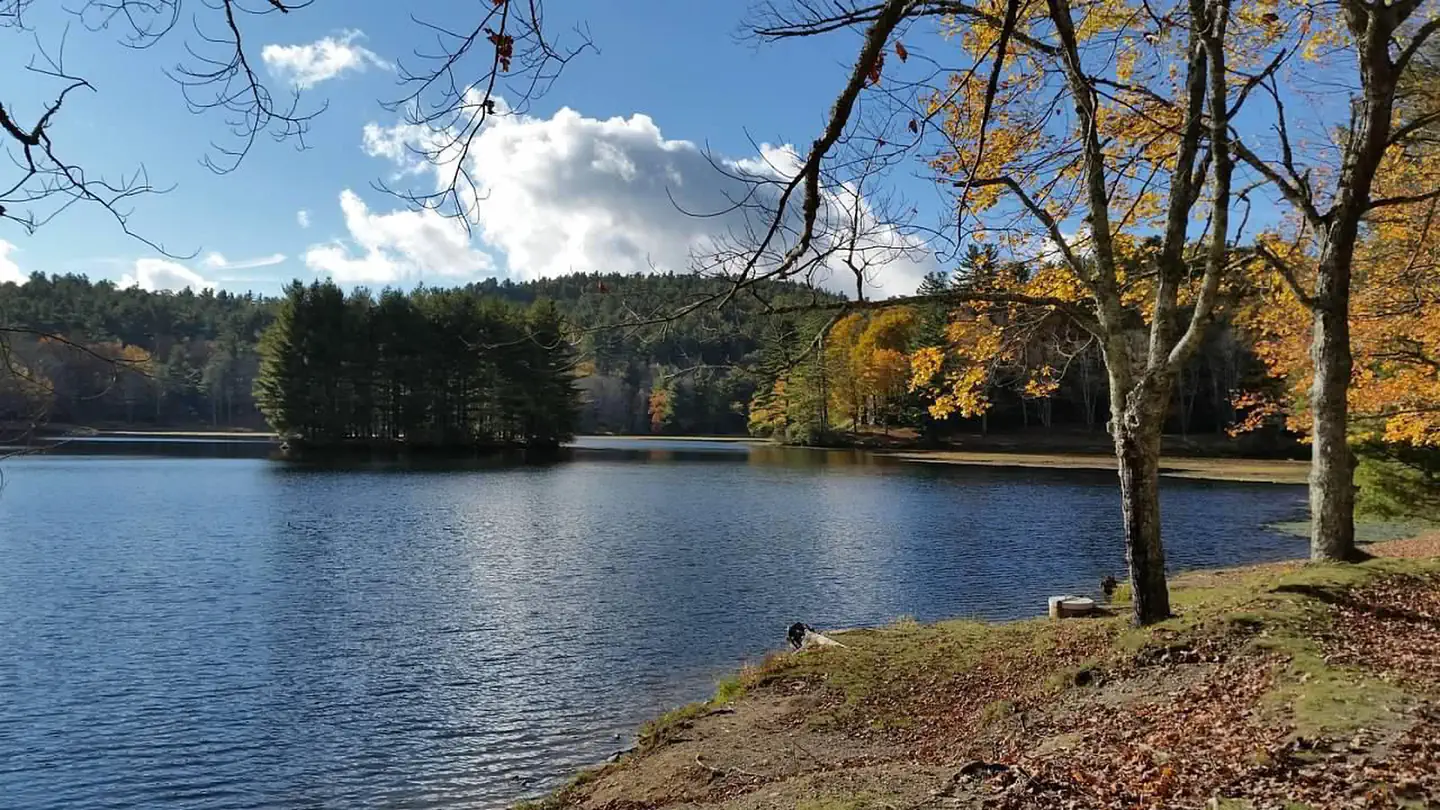 Julian Price Campground photo 3
