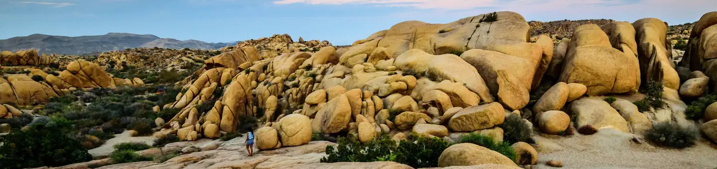 JUMBO ROCKS CAMPGROUND photo