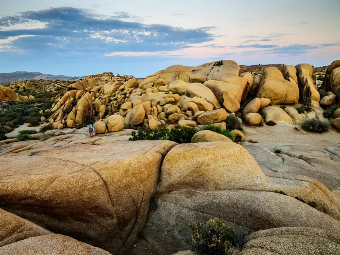 JUMBO ROCKS CAMPGROUND photo 5