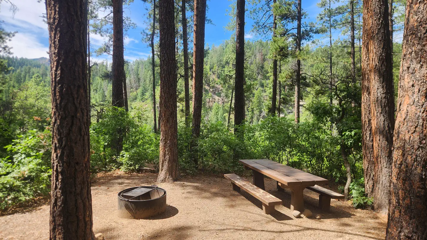 JUNCTION CREEK CAMPGROUND photo