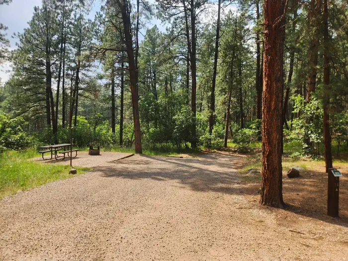 JUNCTION CREEK CAMPGROUND photo 2