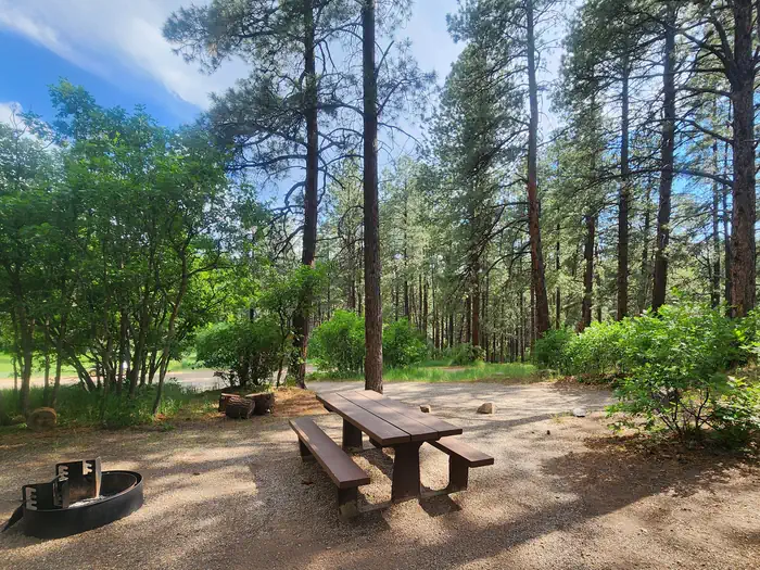 JUNCTION CREEK CAMPGROUND photo 3